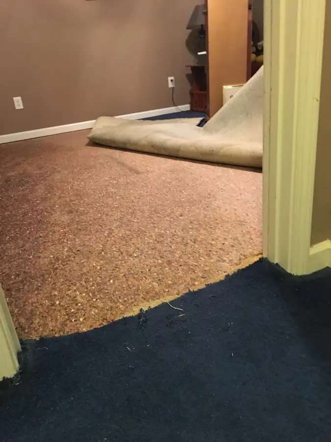 Carpet pad removal revealing water damage during Water Mitigation Services in Valley City