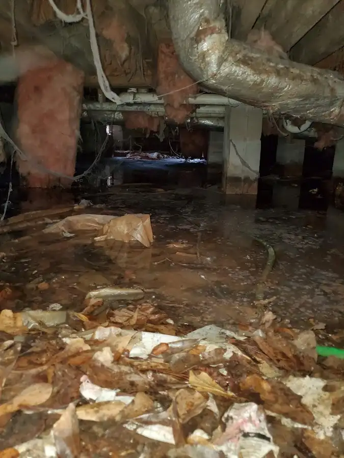 Crawl space flood assessment for Leak Detection & Repair in Valley City
